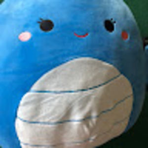 Meet your Posher, Serena